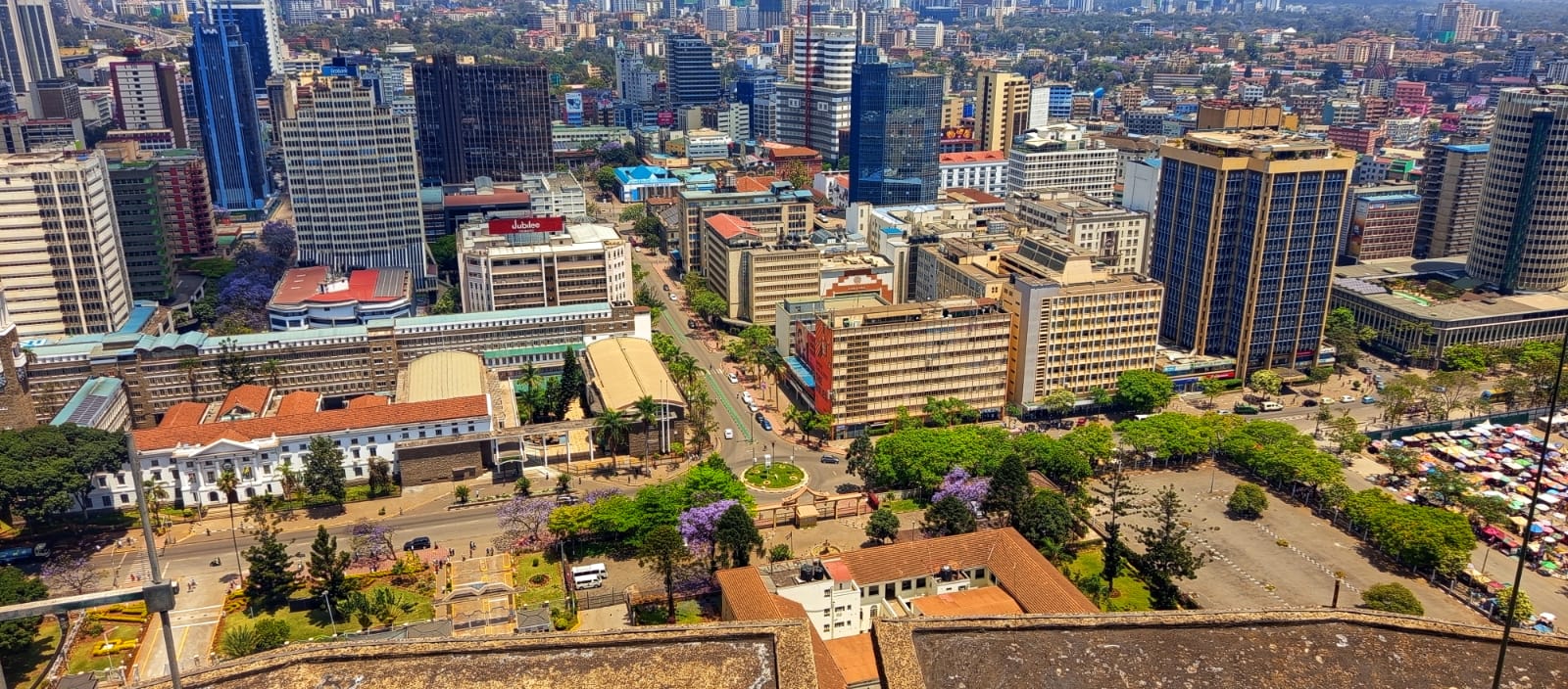 A top-down look at the streets below, showing the green spaces, the red-roofed City Hall, and the vibrant purple Jacaranda trees in bloom along the avenues.