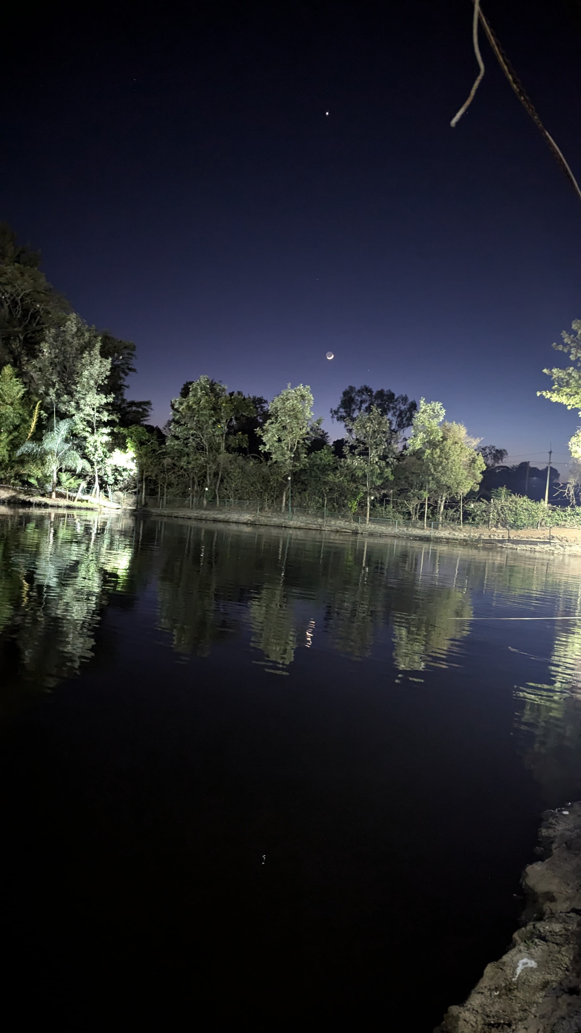Thin crescent moon hanging over the silhouetted trees. The sky is a deep, dark blue, creating a serene and peaceful nighttime scene.
