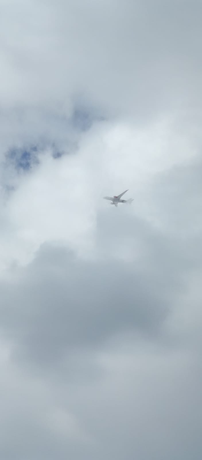 A close-up of a commercial airplane flying through thick, white clouds.