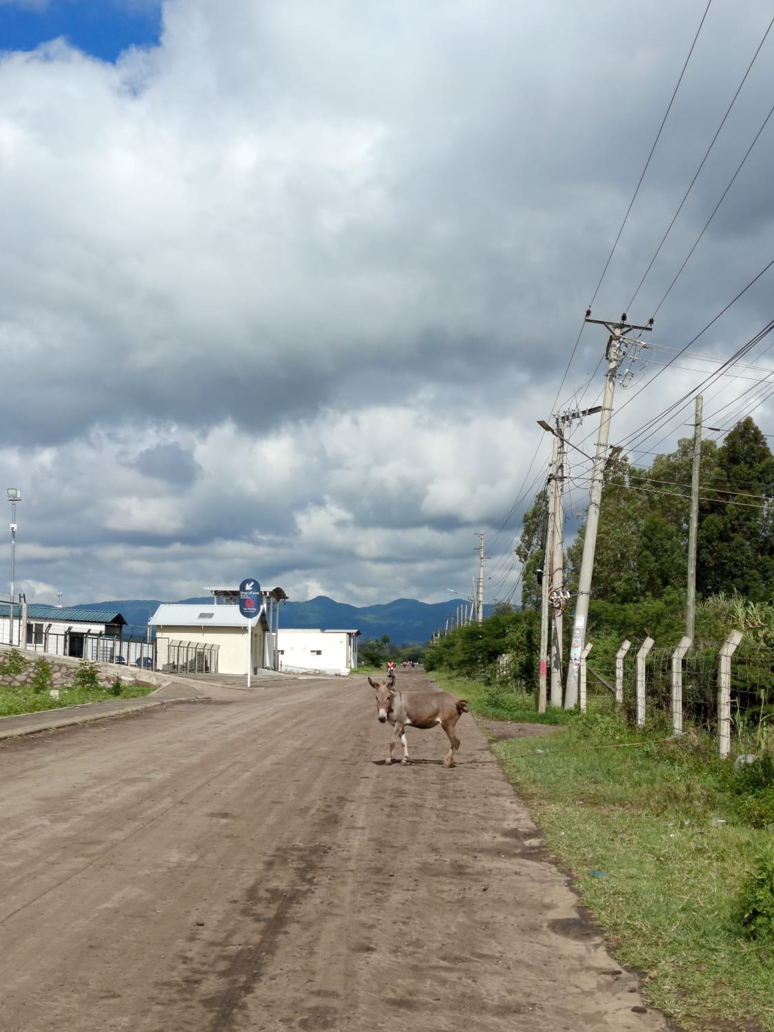 A dirt road near a station facility. A donkey stands in the middle of the road, looking toward the camera. Hills are visible in the far distance under a cloudy sky.