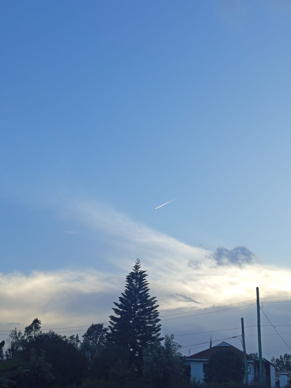 A high-altitude jet leaving a thin white contrail across a pale blue sky. A tall, symmetrical evergreen tree and a house roof are visible at the bottom.